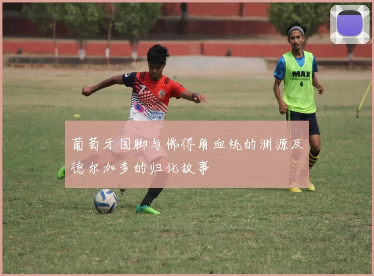 葡萄牙国脚与佛得角血统的渊源及德尔加多的归化故事